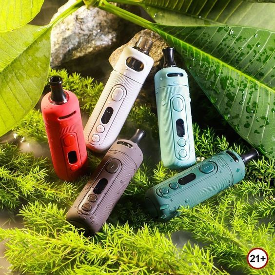 Introducing The Cactus Labs’ Revolutionary and Budget-Friendly Disposable&nbsp;Vape